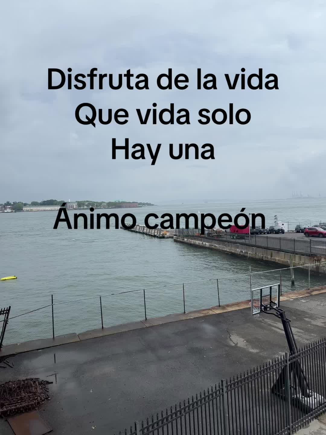 @Flores