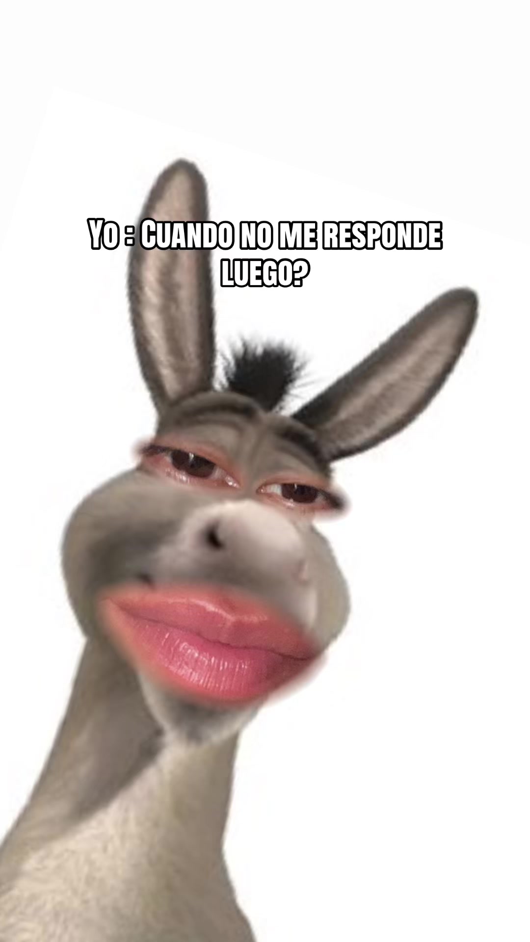 @Juanita🎂🍰🧁