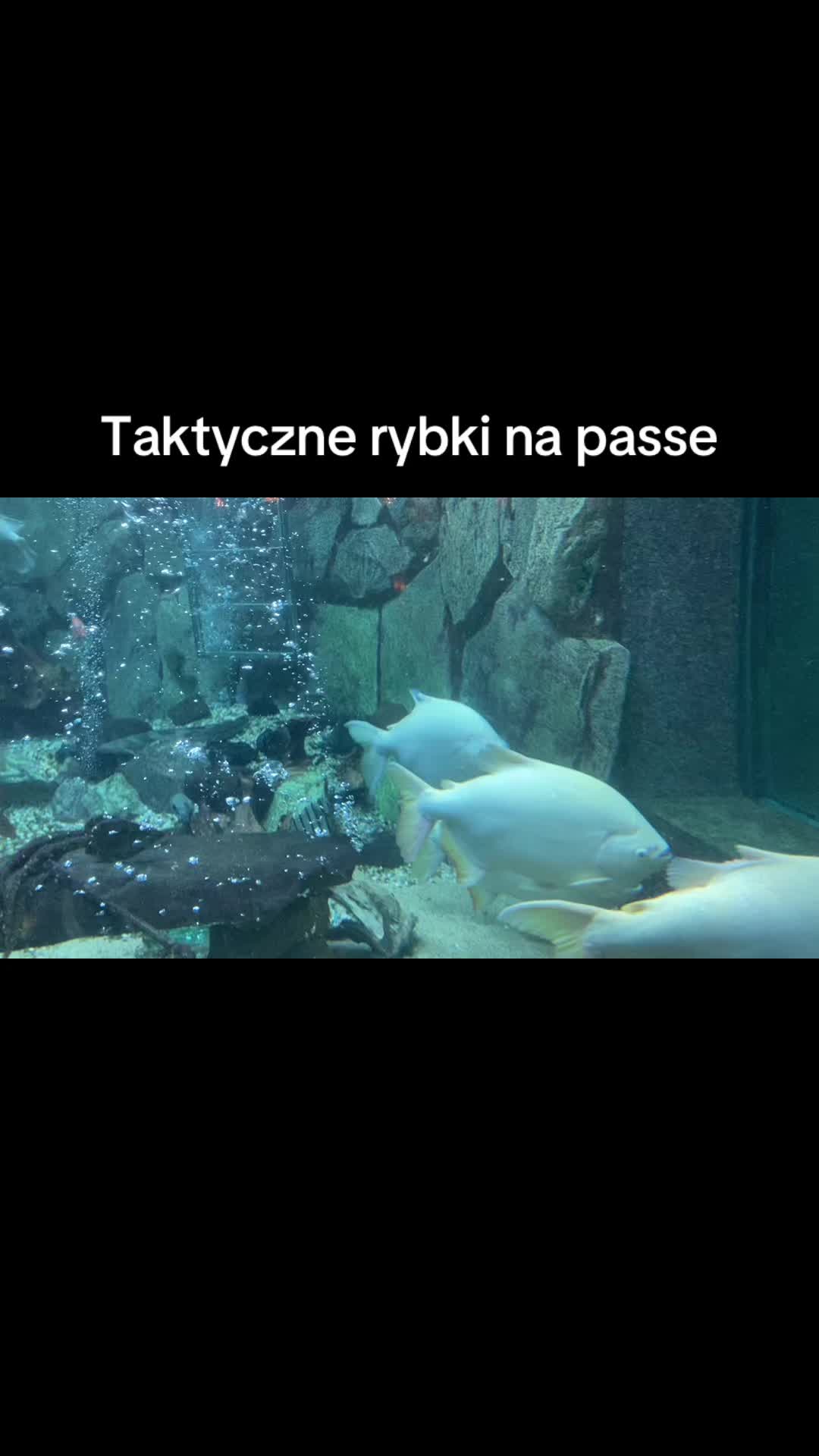 @Szymi