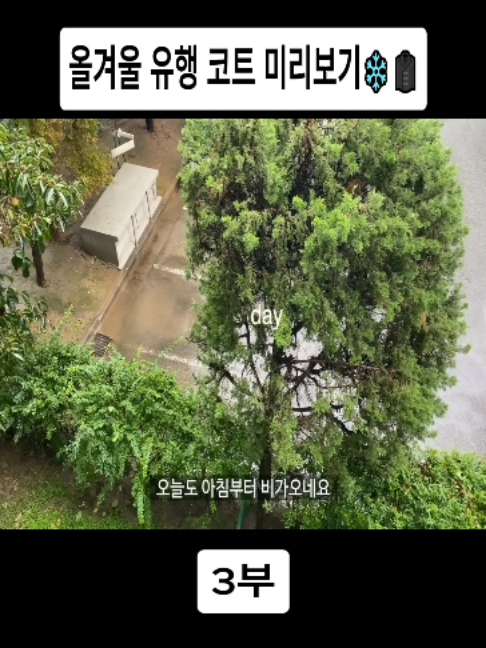 @오늘의 보라