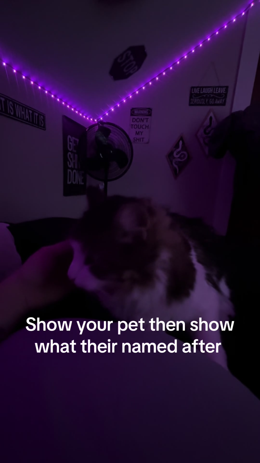 @siucide_3mily