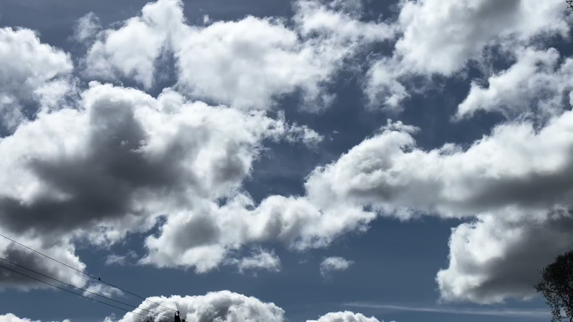 @runfromyourworld