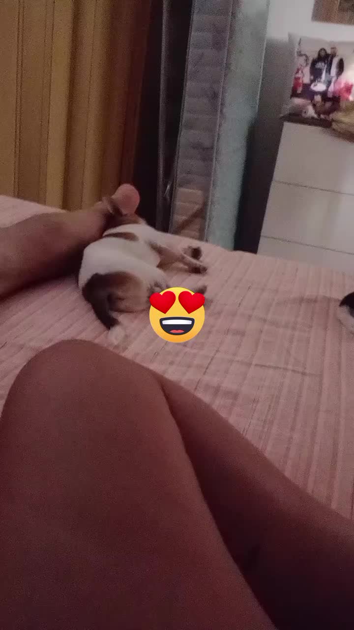 @❤️lupa❤️