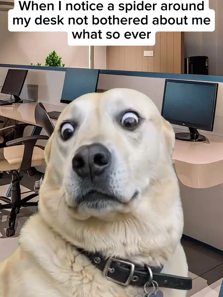 @Office Bubble