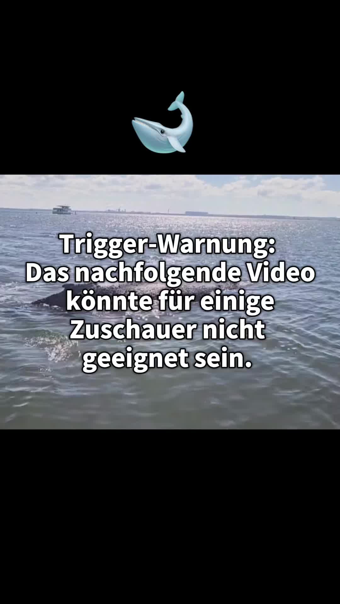 @jessiiungefiltert
