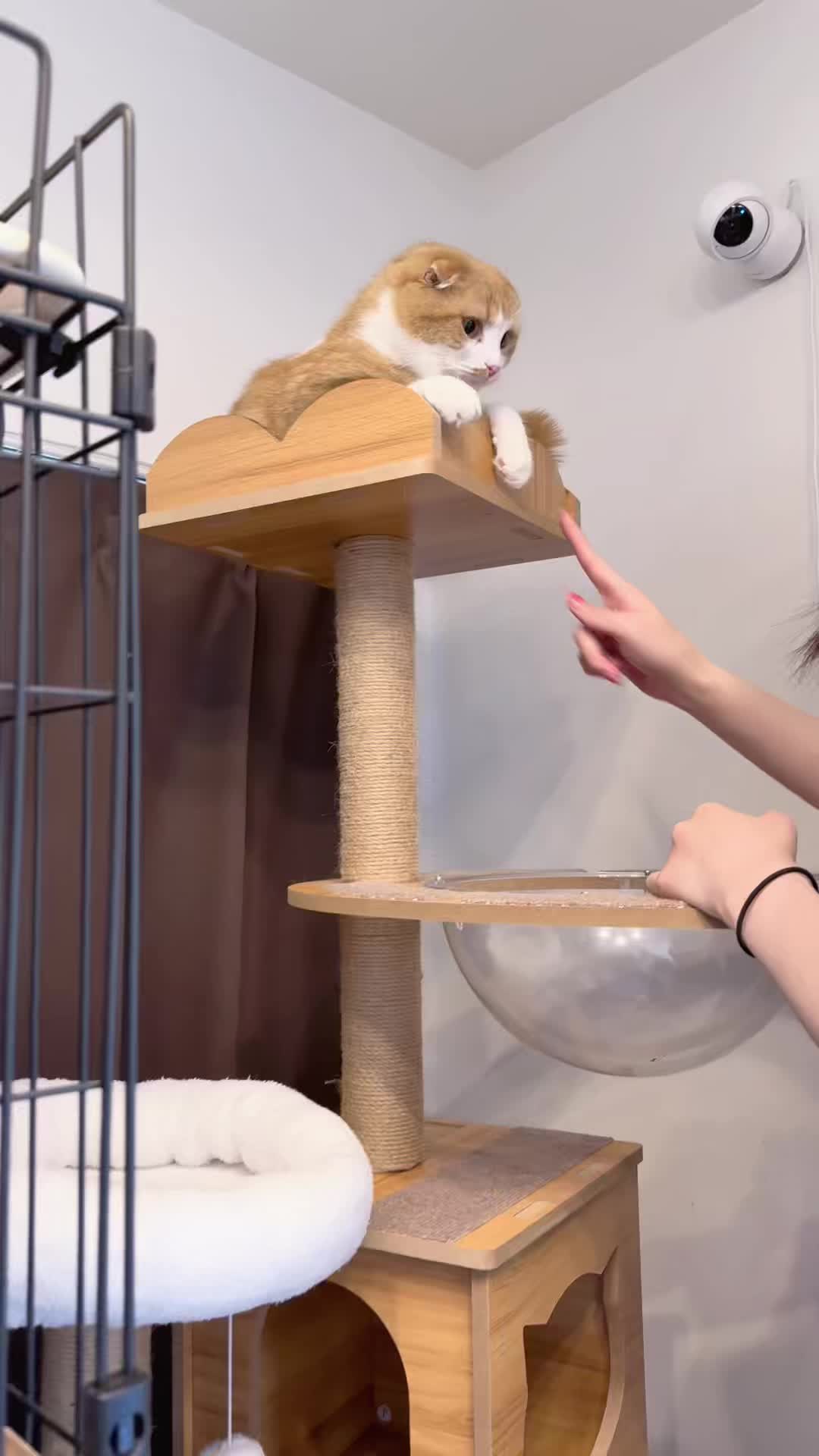 @マロン