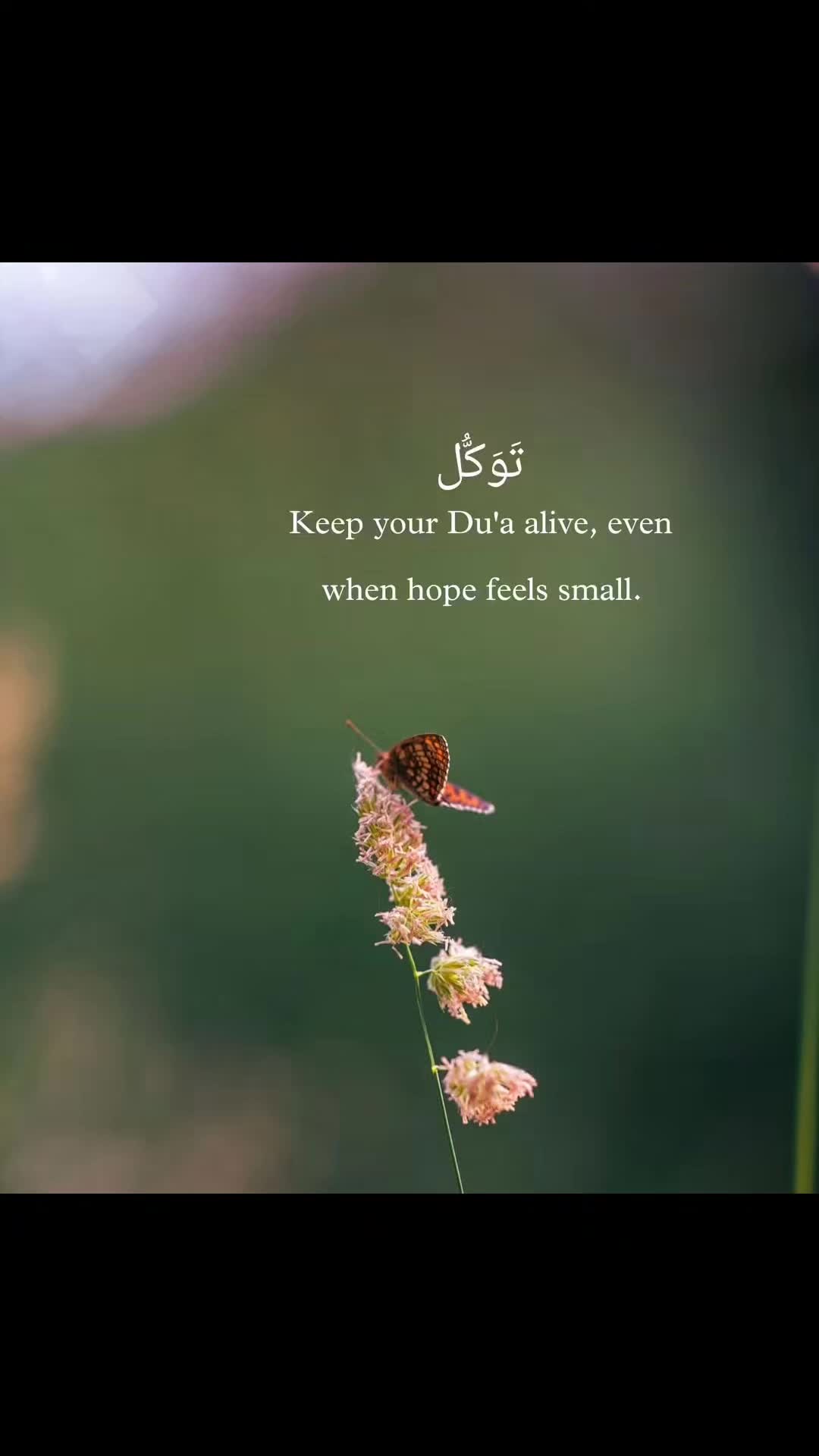 @BinaBibi