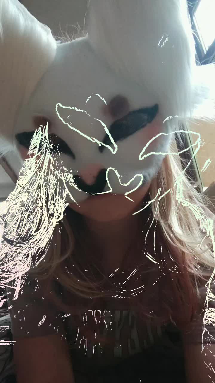 @🦴🐾♡⭒𝐹ℴxᥡ⭒♡🌀💿