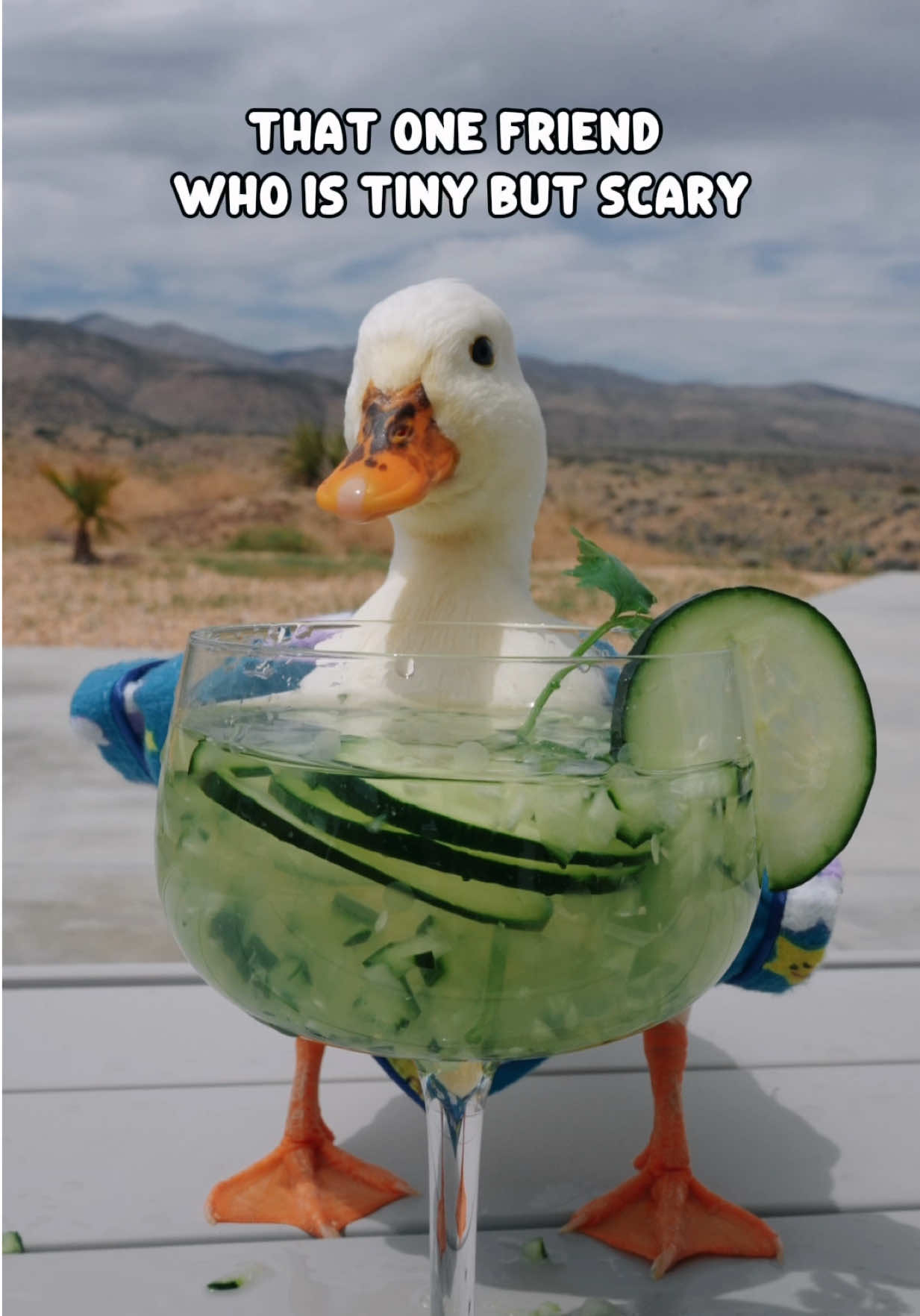 @ducks_in_space🪿🪿💦
