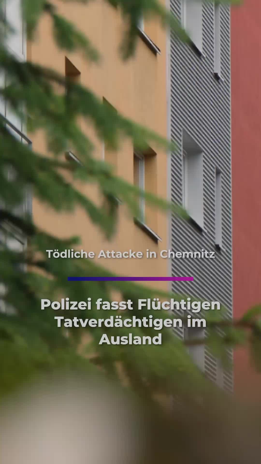 @Sachsen Fernsehen