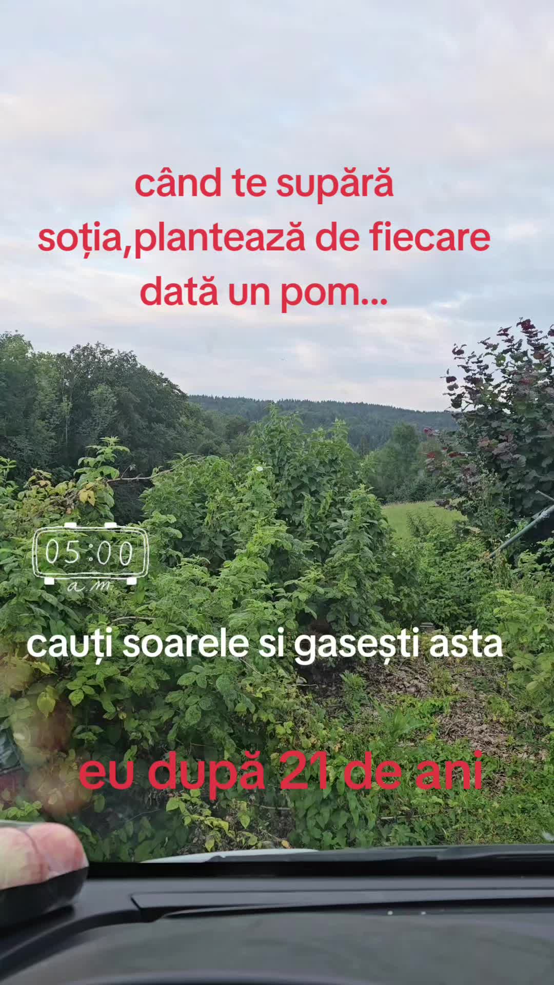 @Denis Marian Zaharia