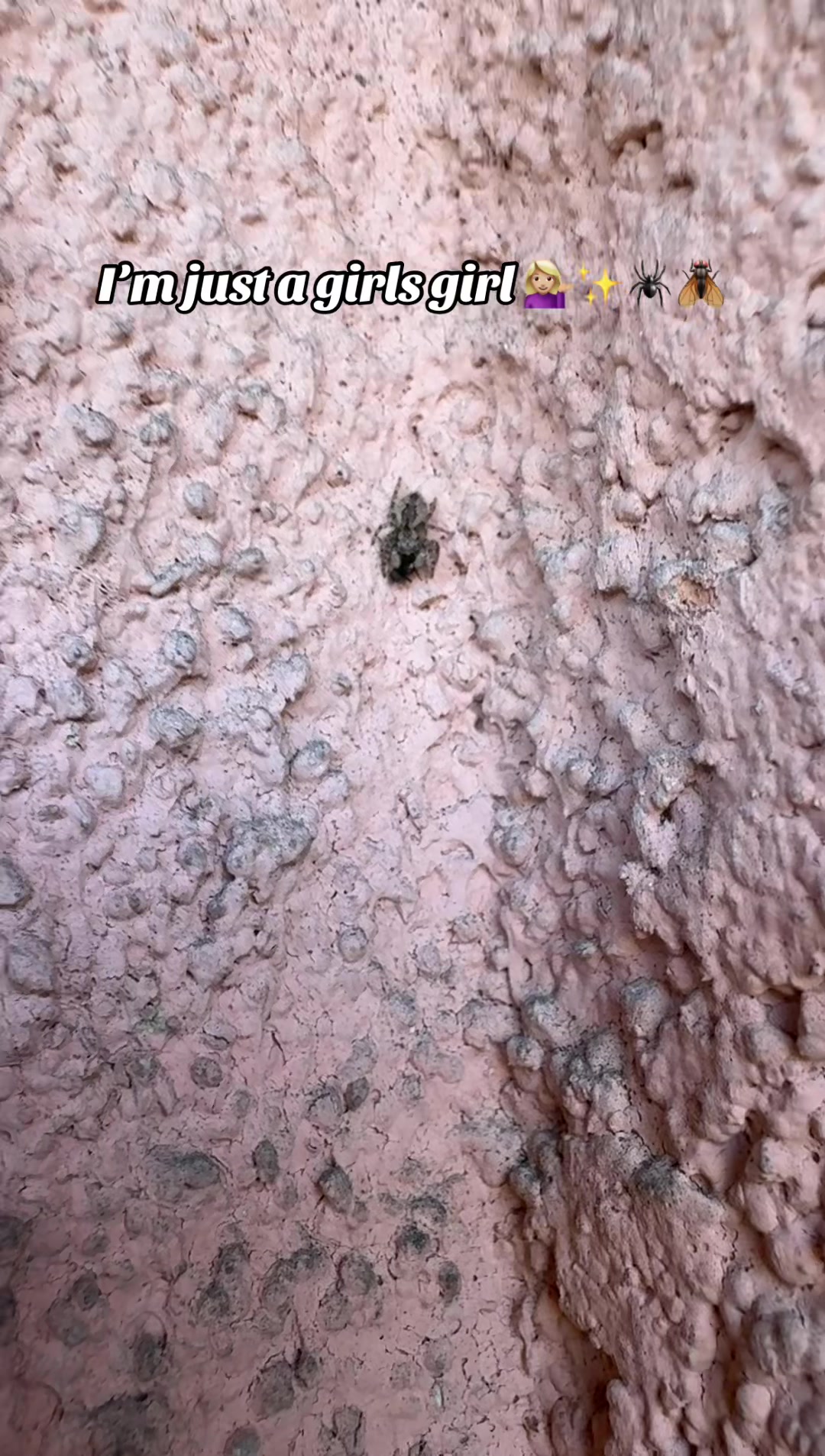 @𓁛𓂀Reesa𓂀𓁞