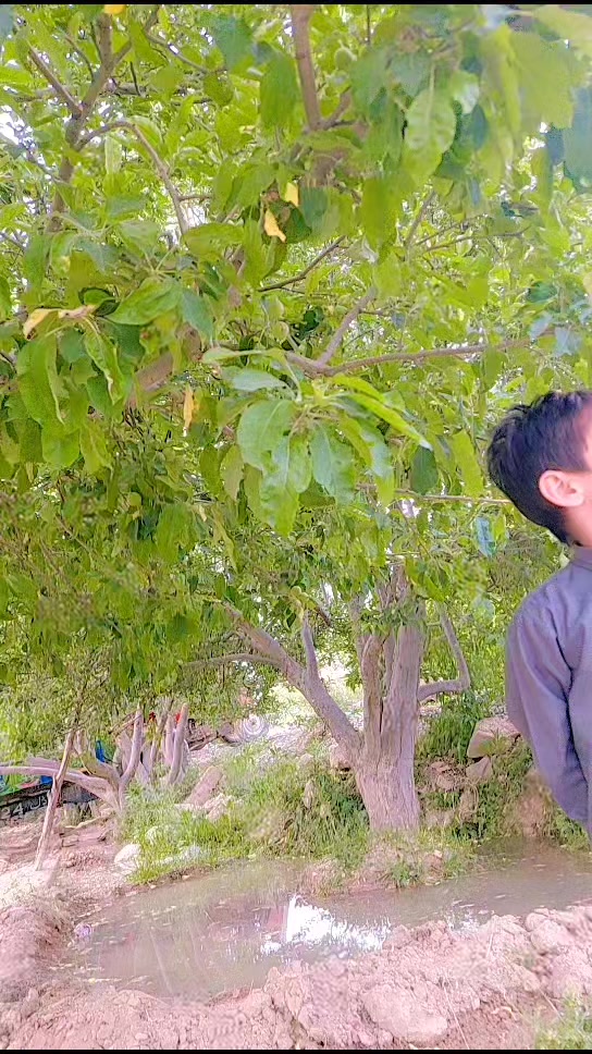 @Abdul Malik Kakar 2215