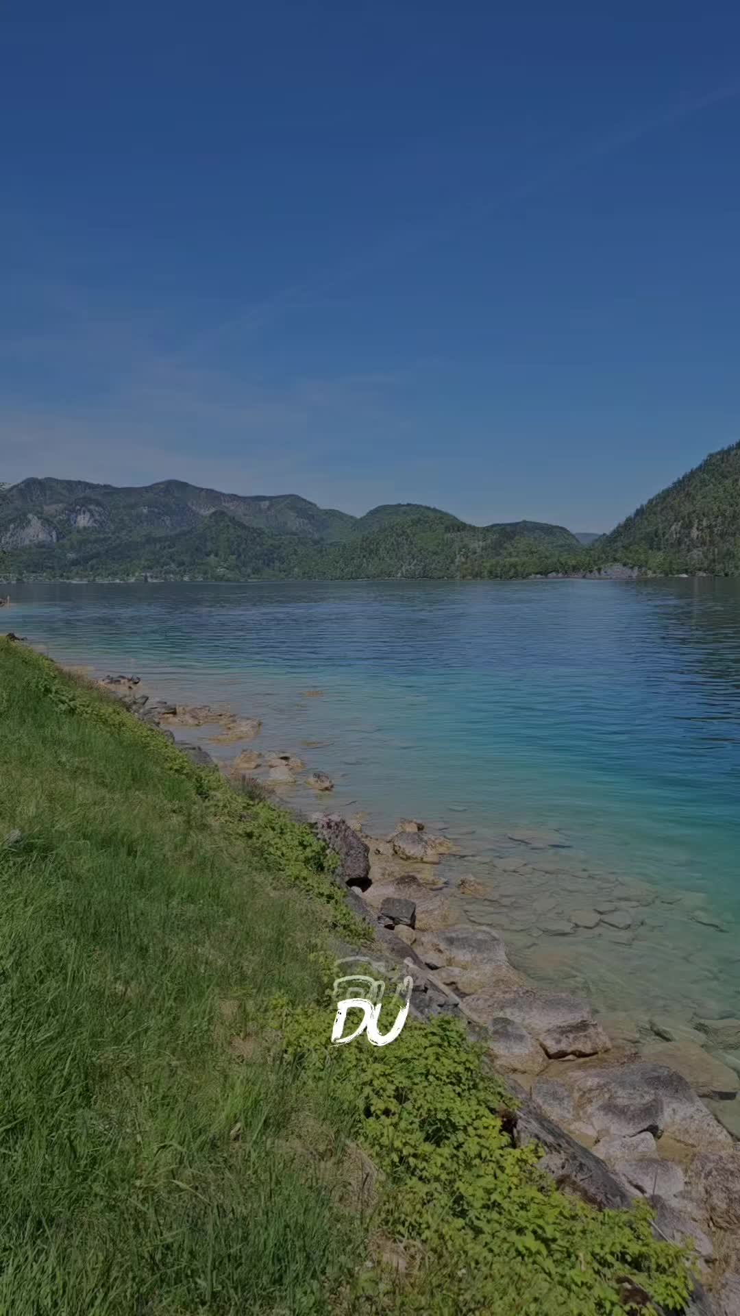 @storfine