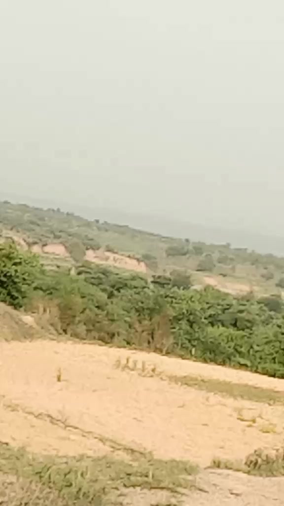@Kaka Manna