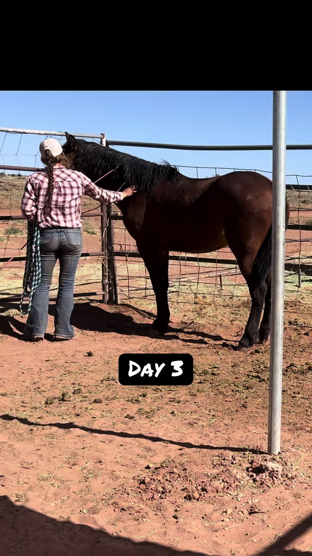@CanyonStateHorsemanship