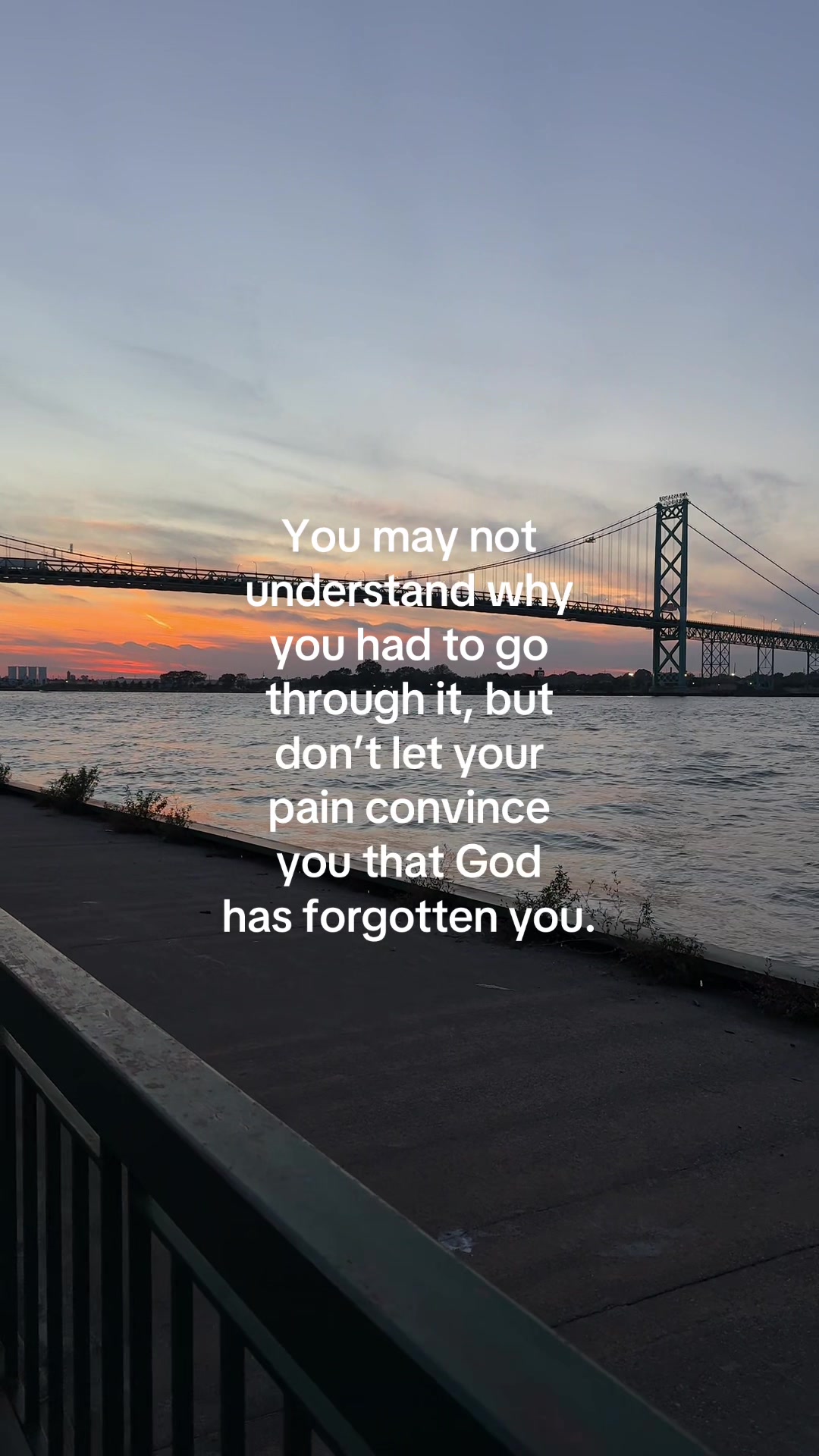 @ℒ ᥫ᭡