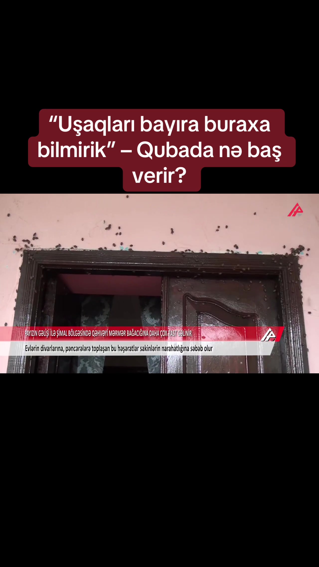 @apatvxeber