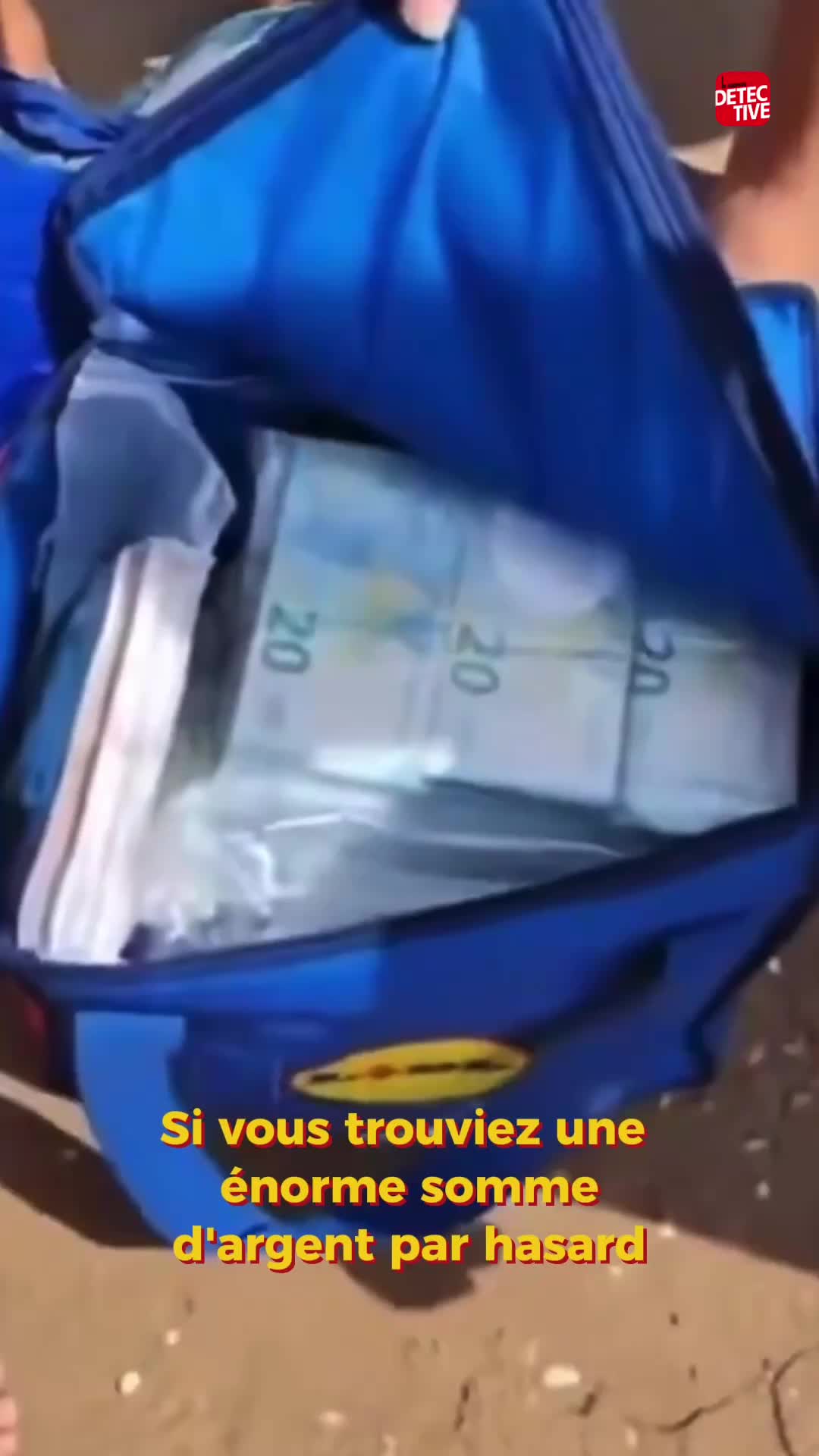@lenouveaudetective