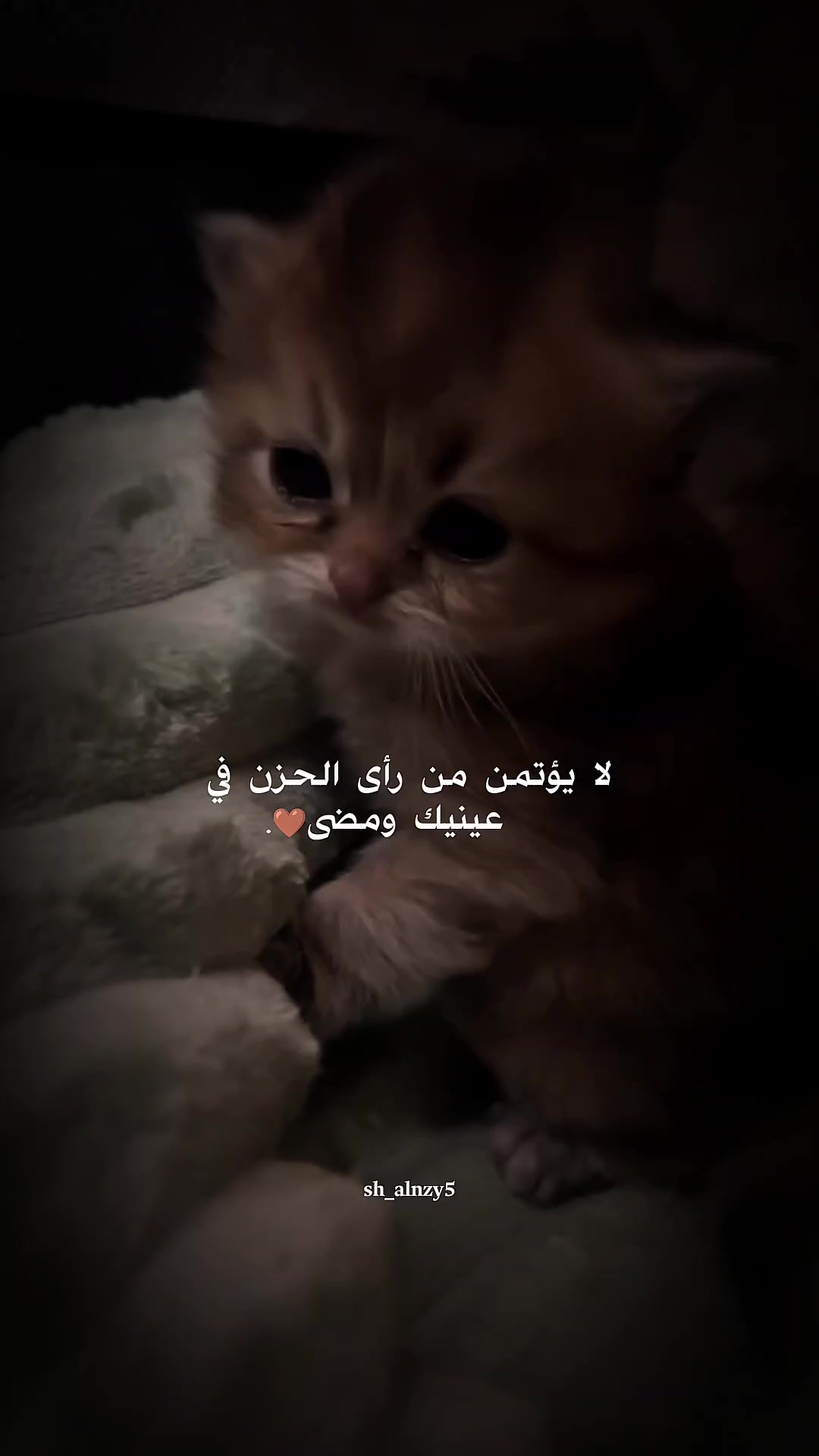 @شامان العنزي