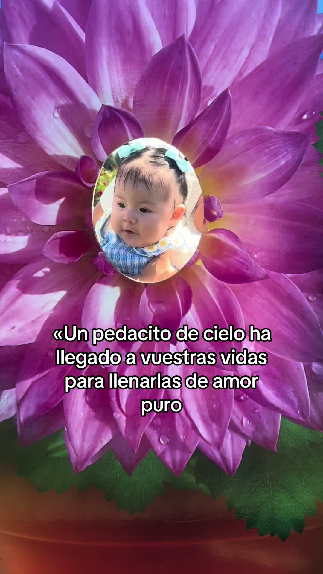 @⚜️🍓🪗pablocarbajal63🪗🍓⚜️