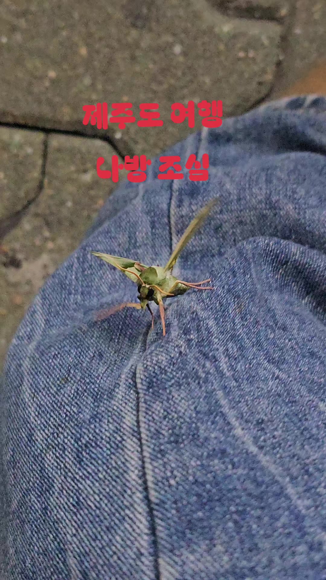@J2BC