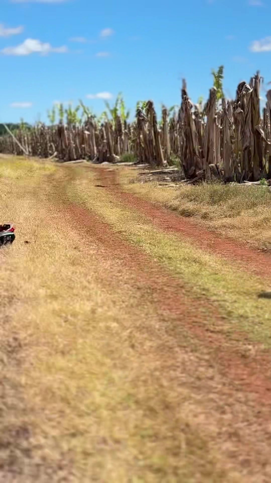@𝙼𝚊𝚌𝚎🇦🇺