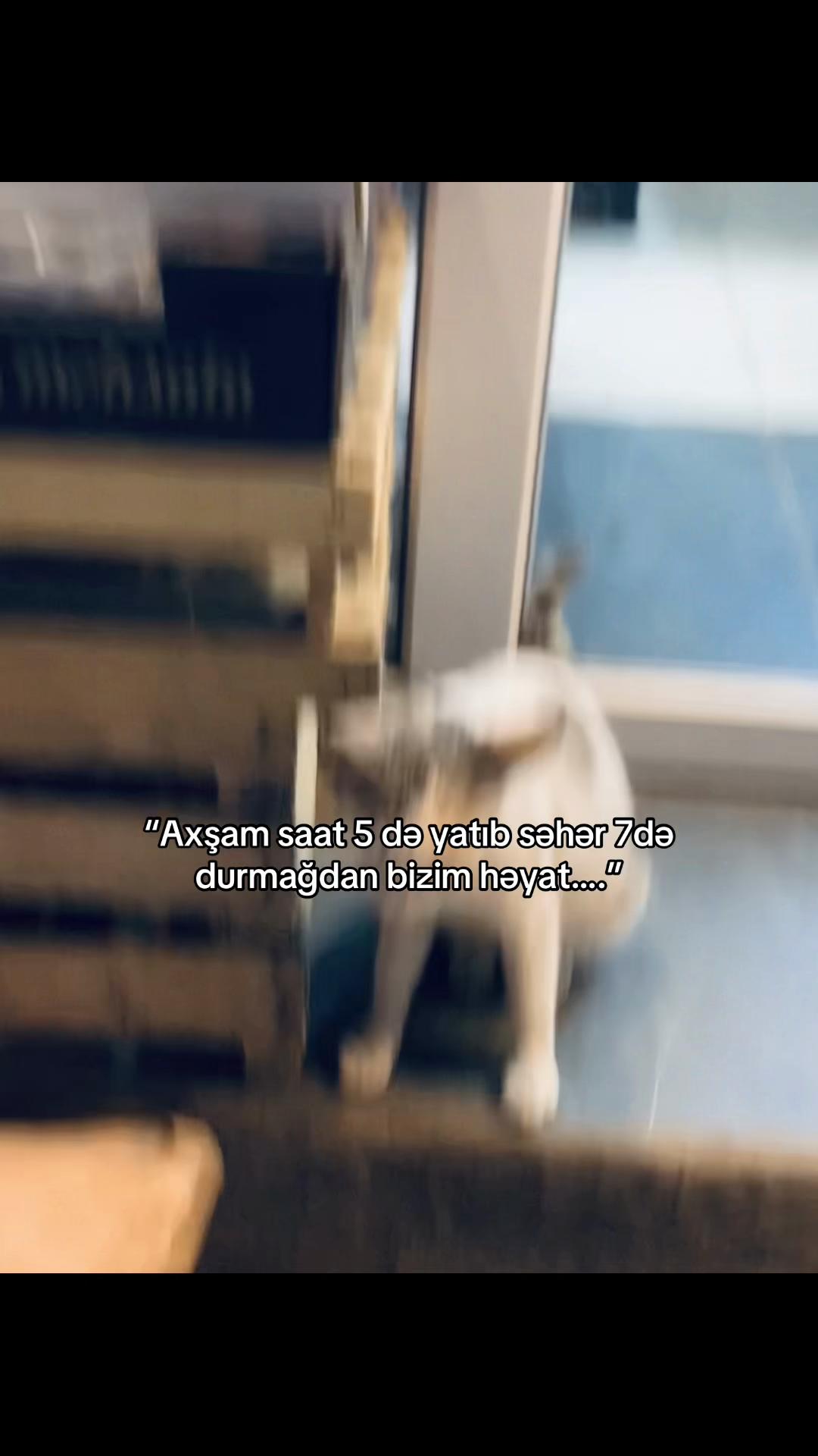 @𝐊𝐞𝐧𝐚𝐧🚩