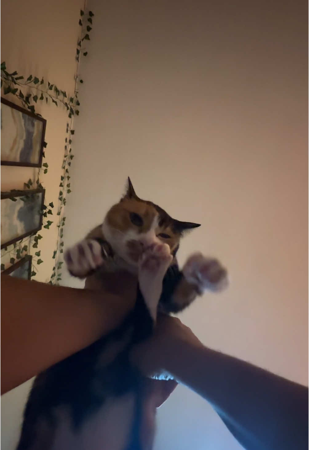 @thictok