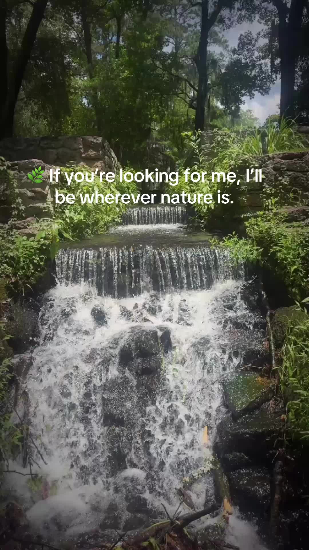 @chantal.elizabeth1