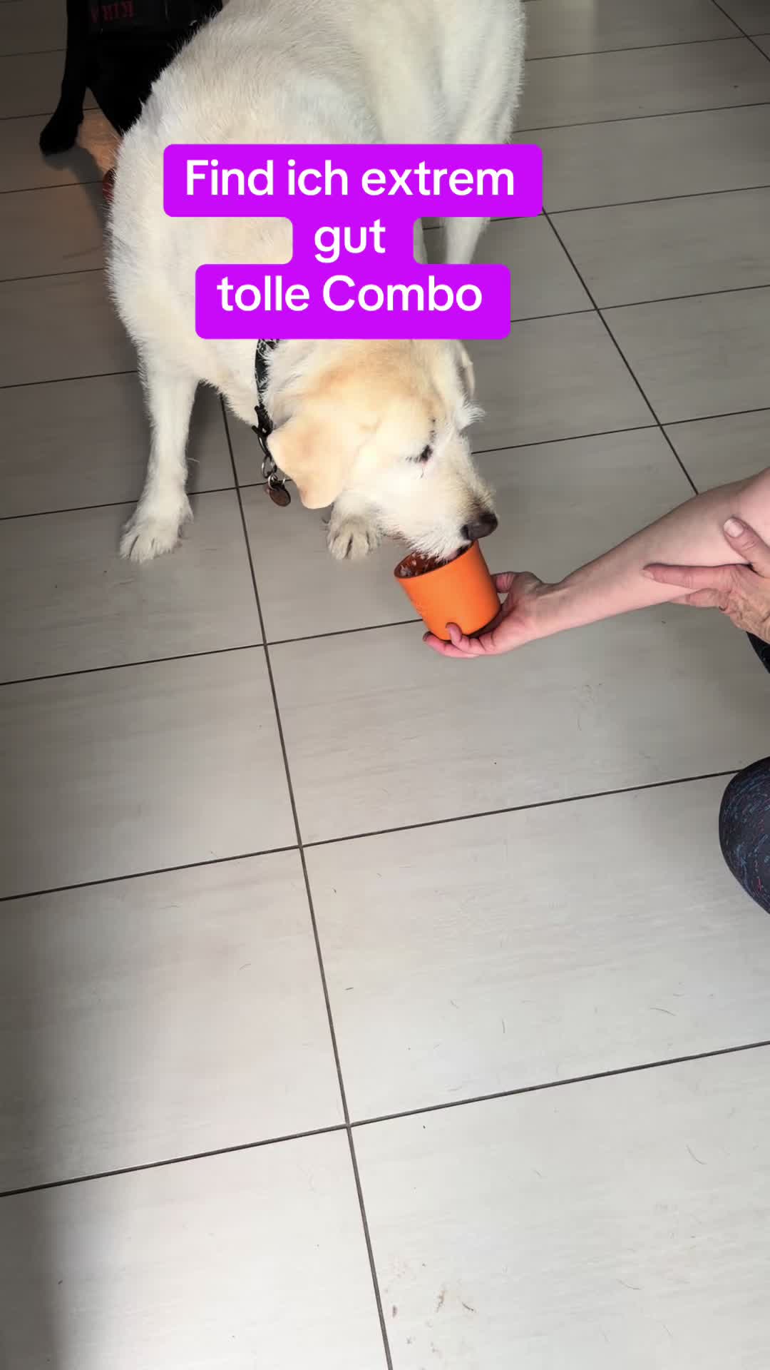 @Braunici