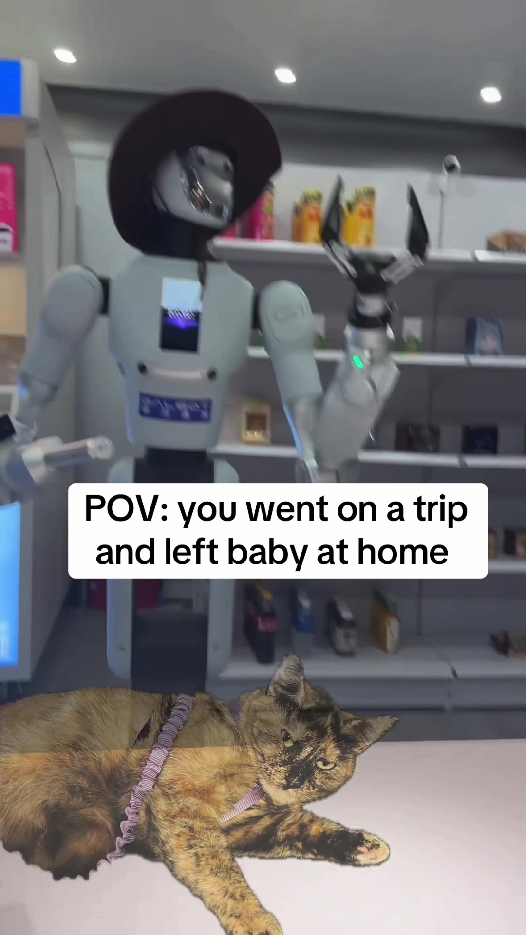 @Bee