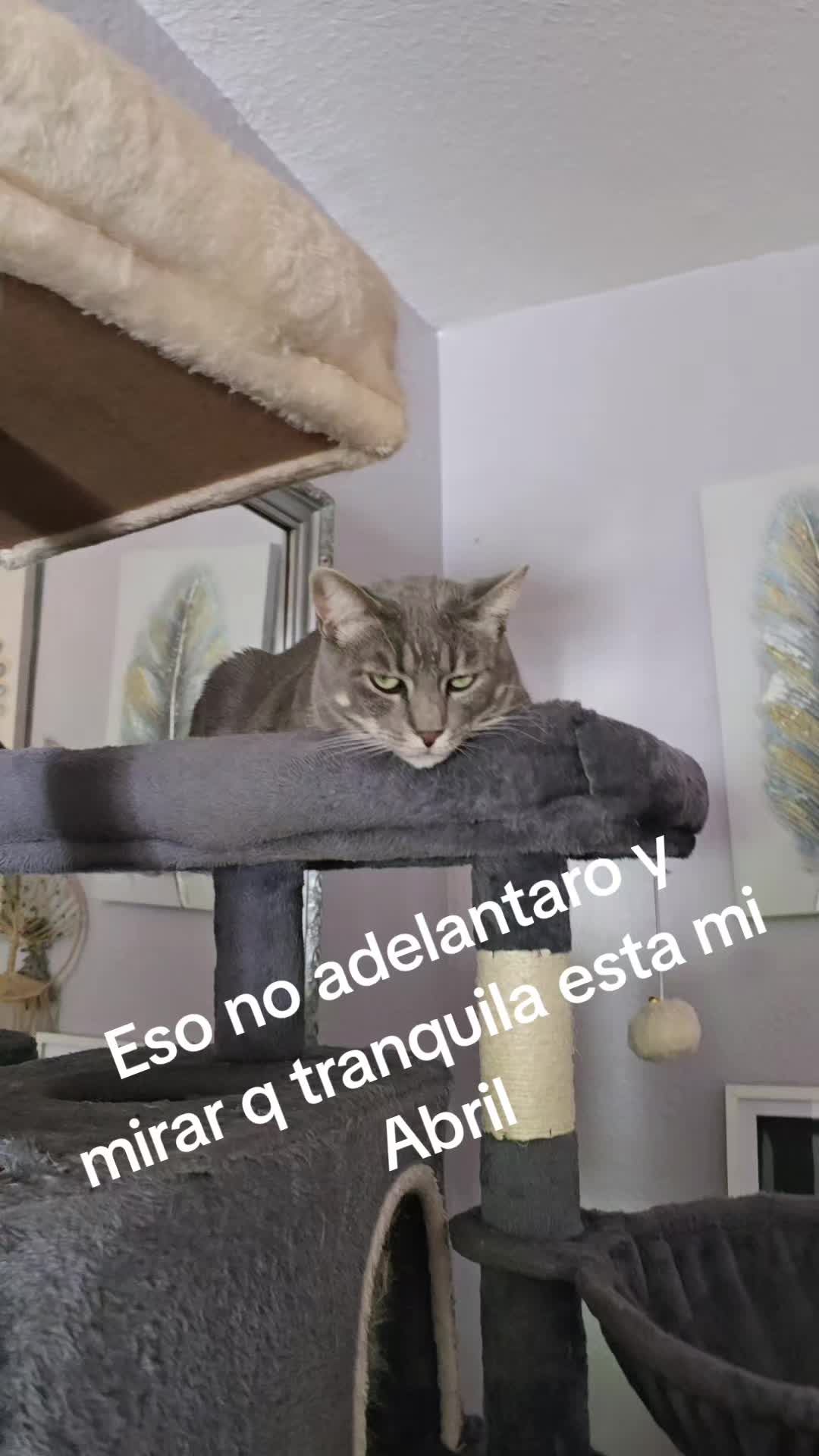 @ANGY CORTÉS 🦋