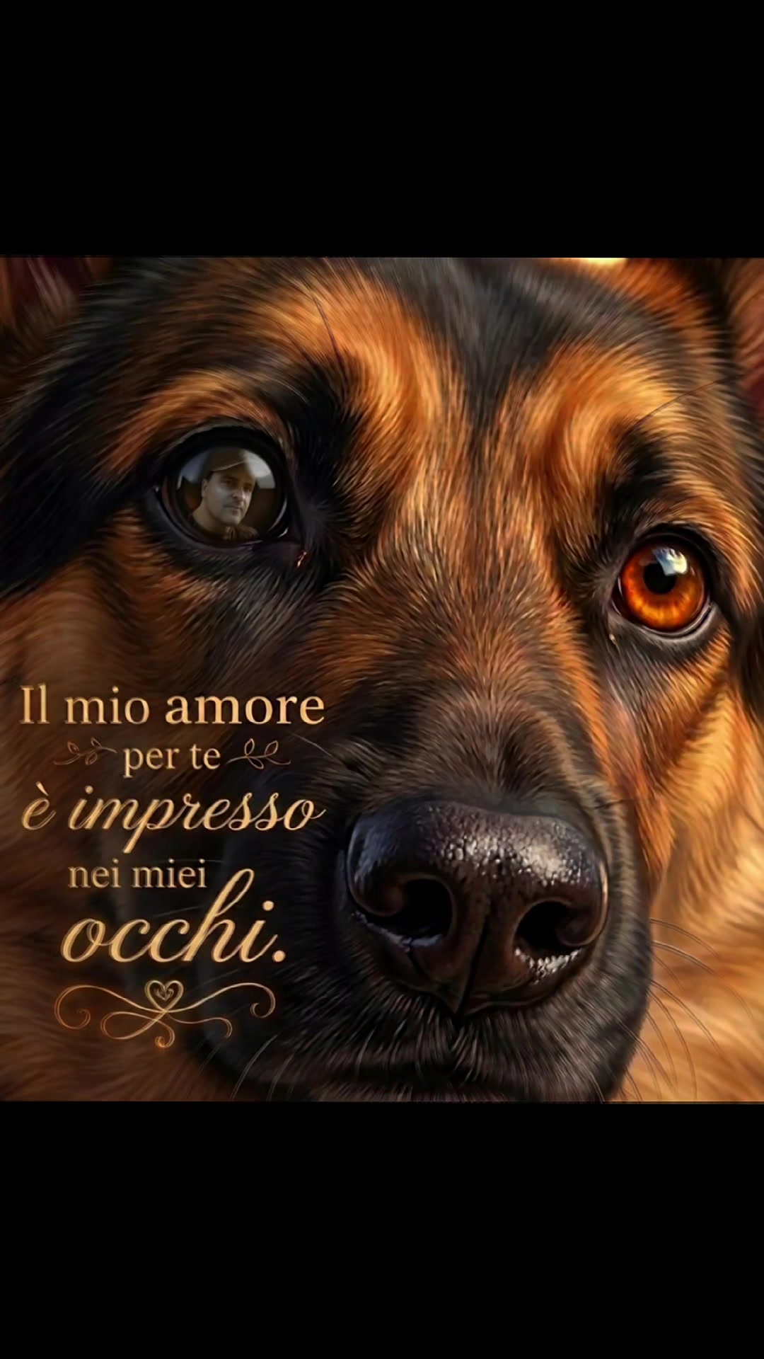 @Ale4Pets
