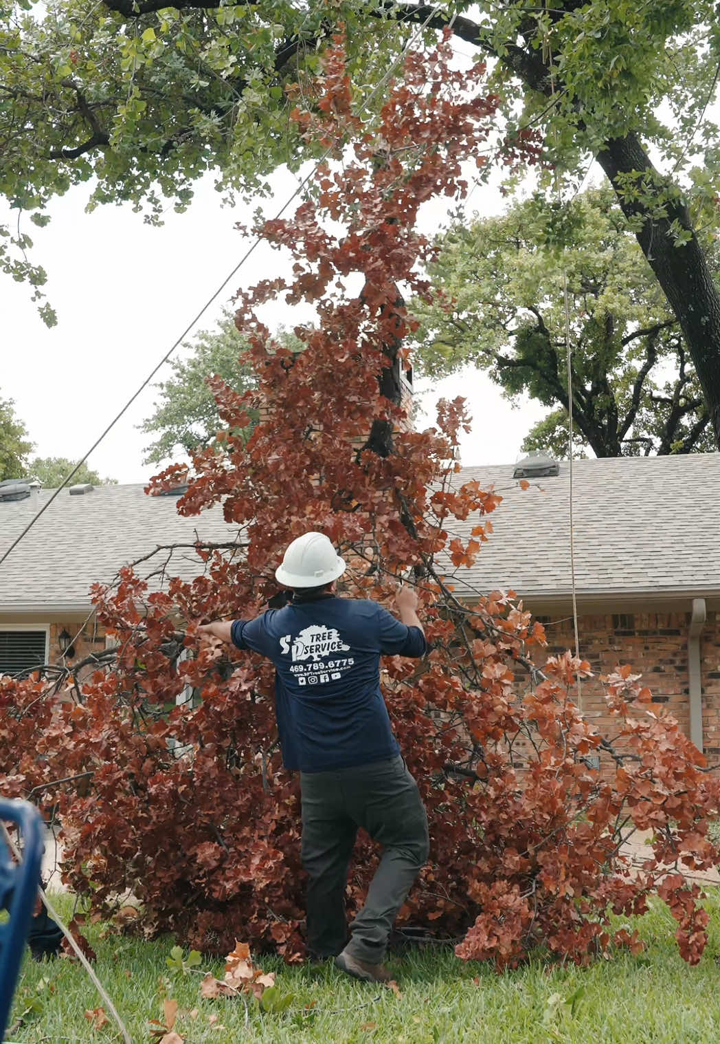 @SPTreeService