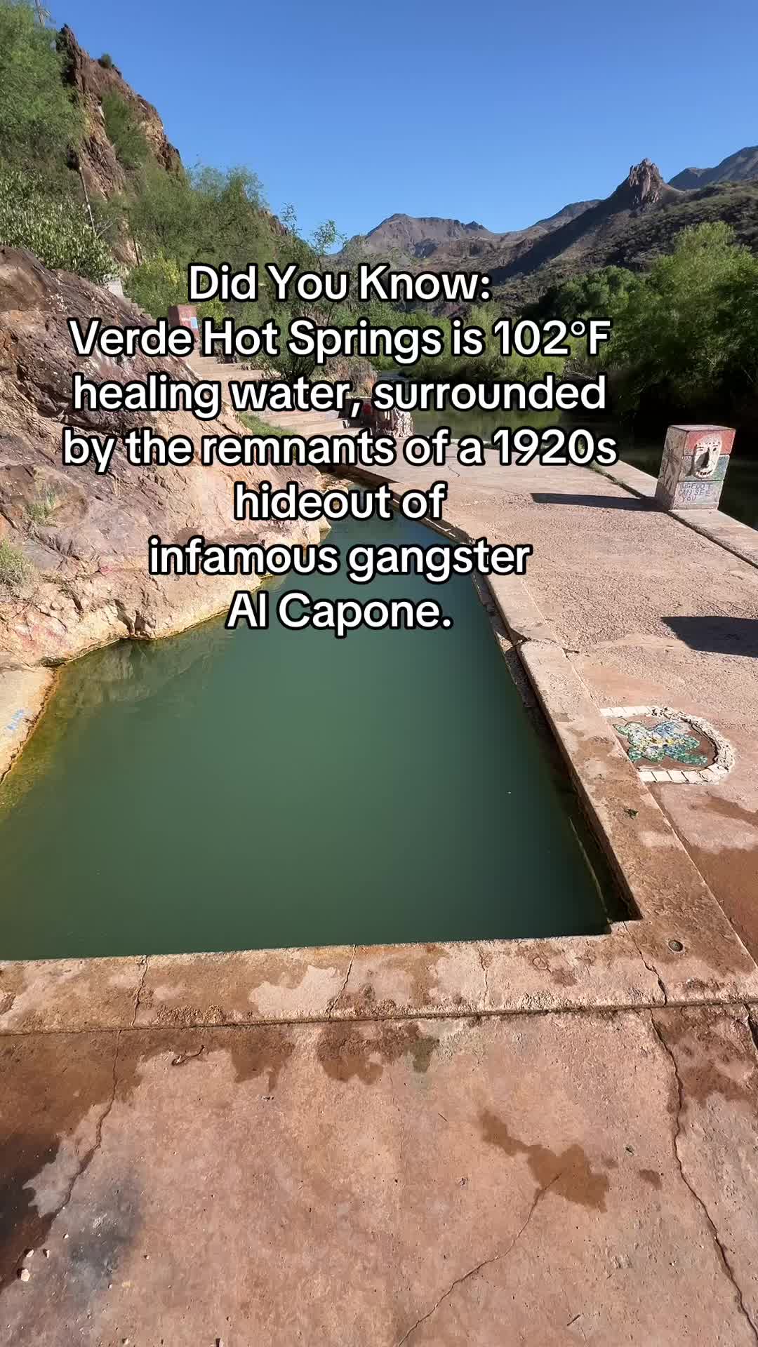 @ArizonaTribe