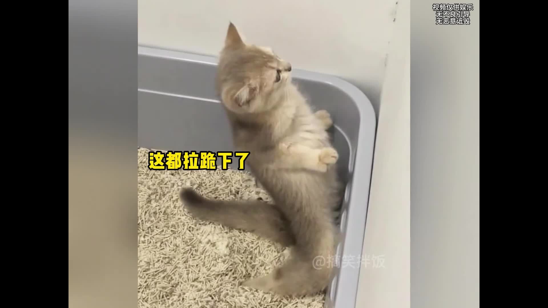 @chaobao0254