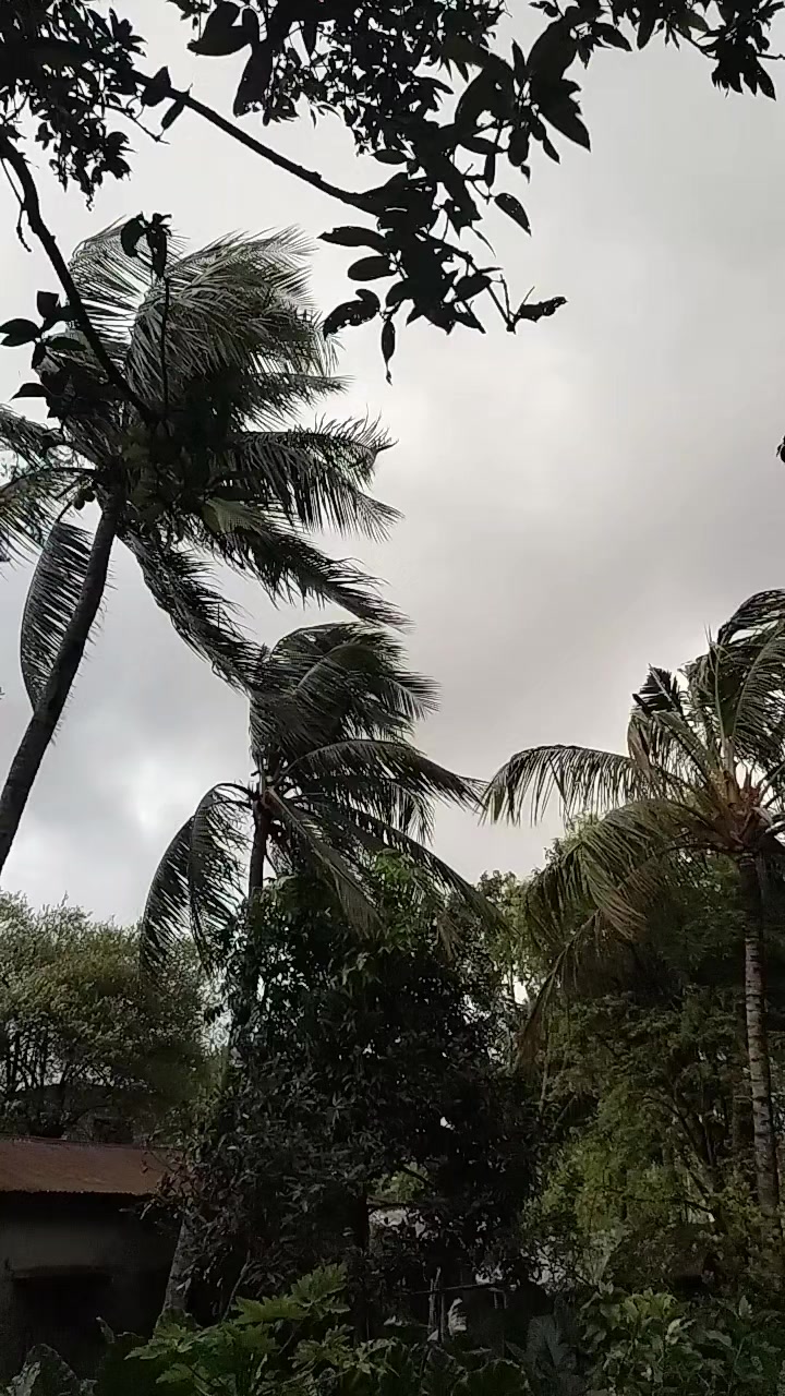 @⟭⟬♪𝐒𝐚𝐰𝐝𝐚_𝐨𝐭𝟕♡🇧🇩