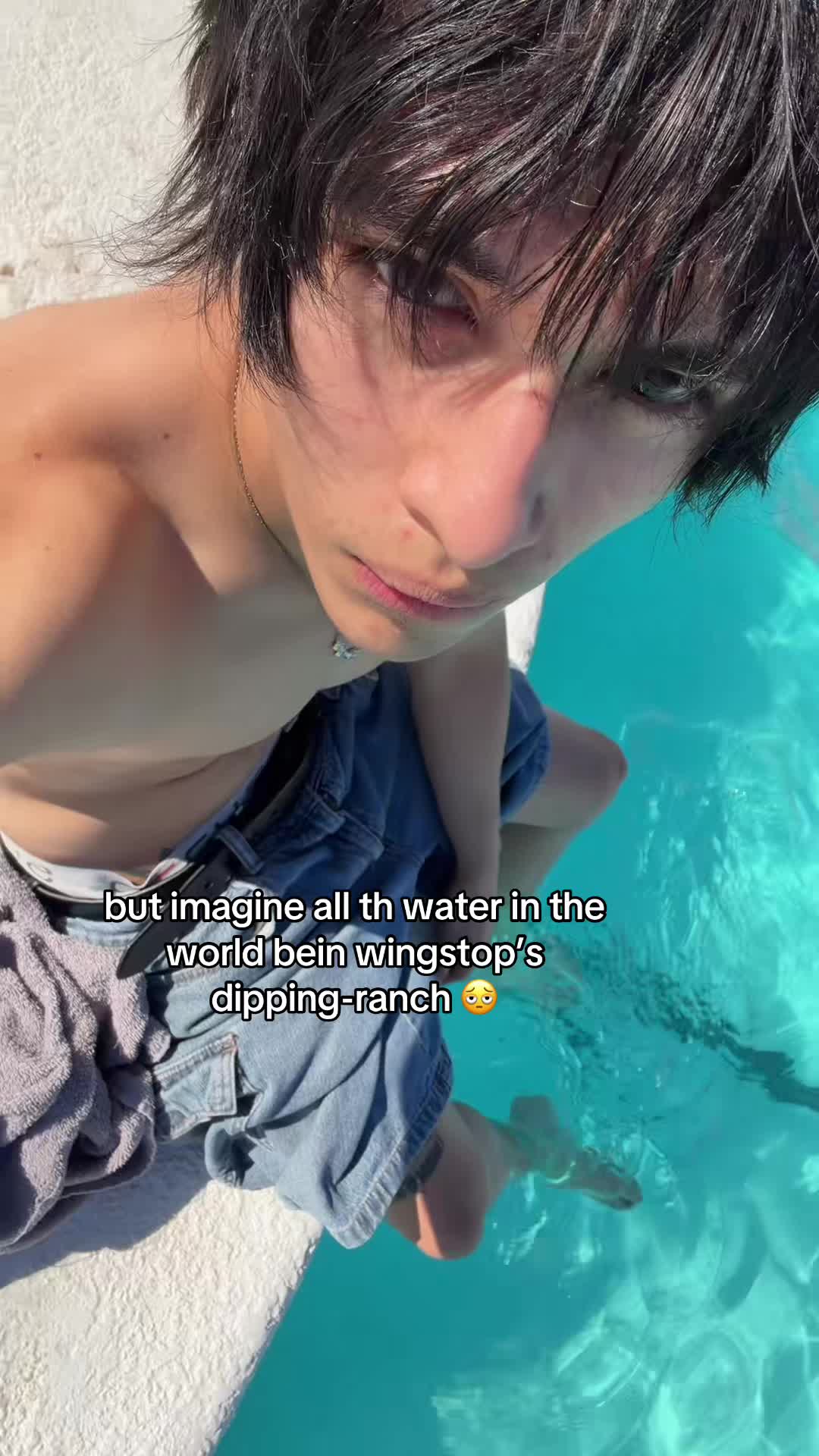 @catbed1