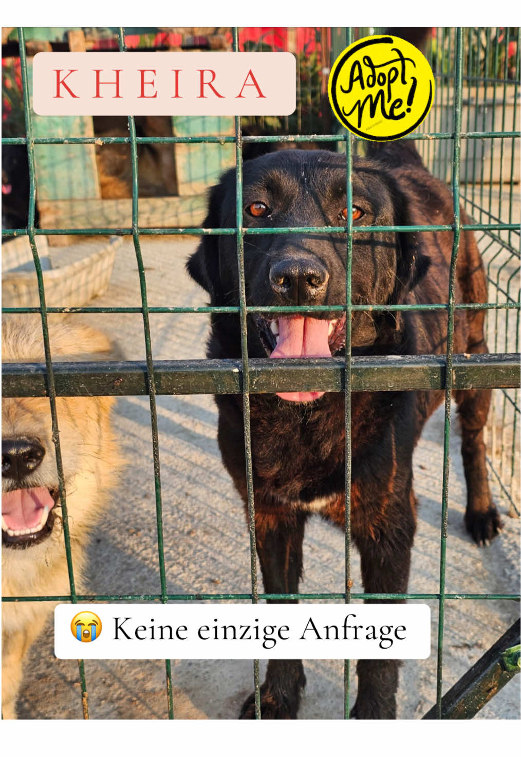 @Soulistas.Tierliebe