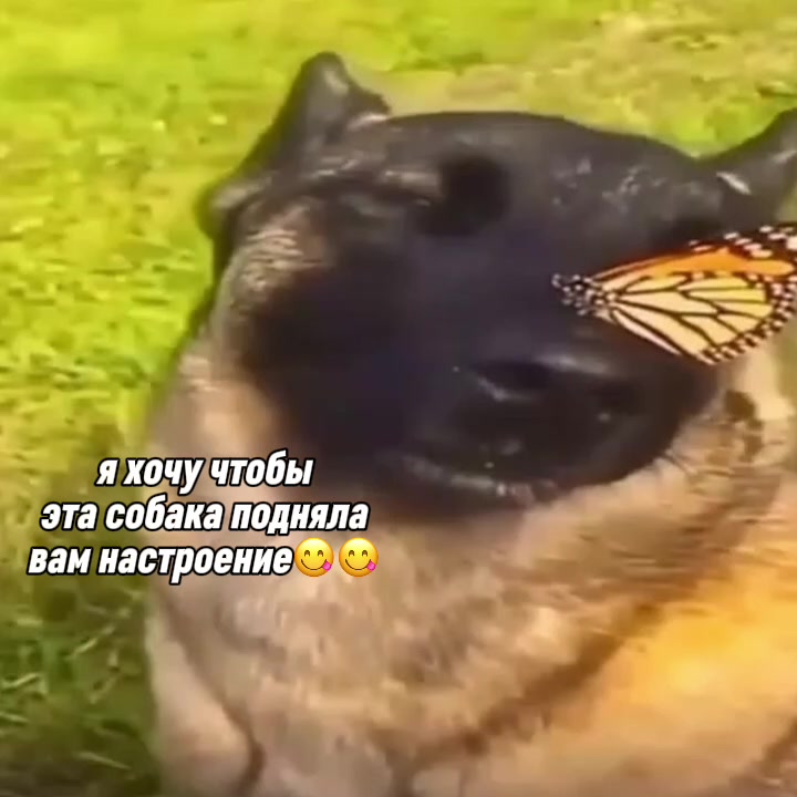 @попl паtрик✌🏻