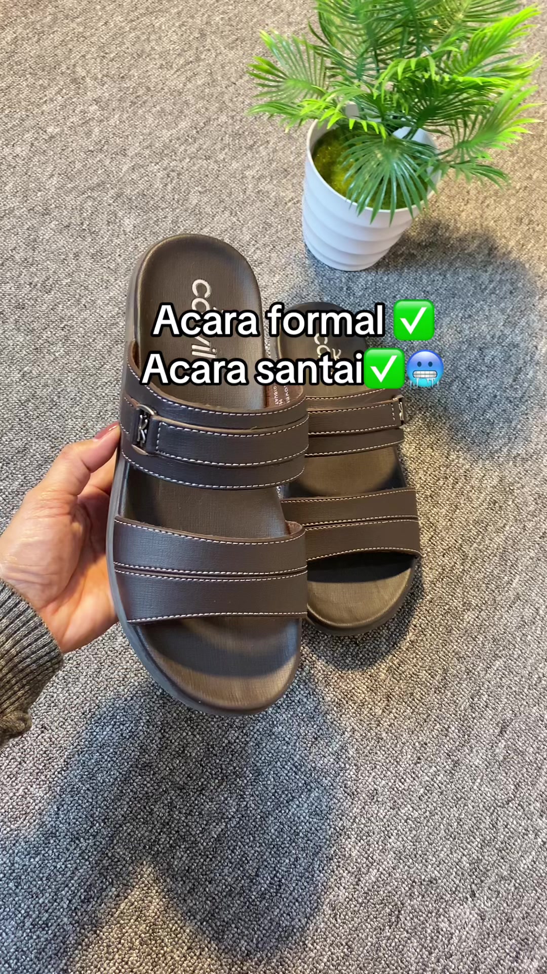 @Dms collect