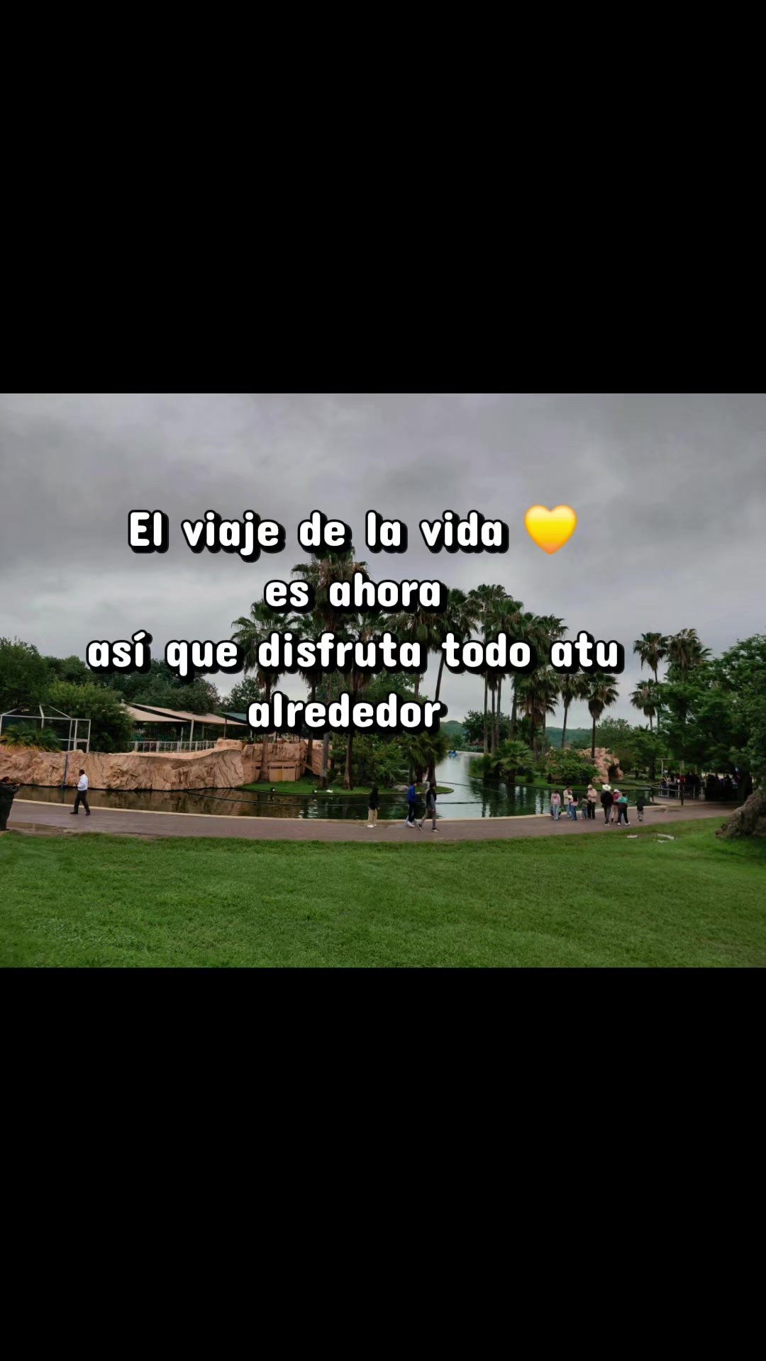 @Fabiola Martinez