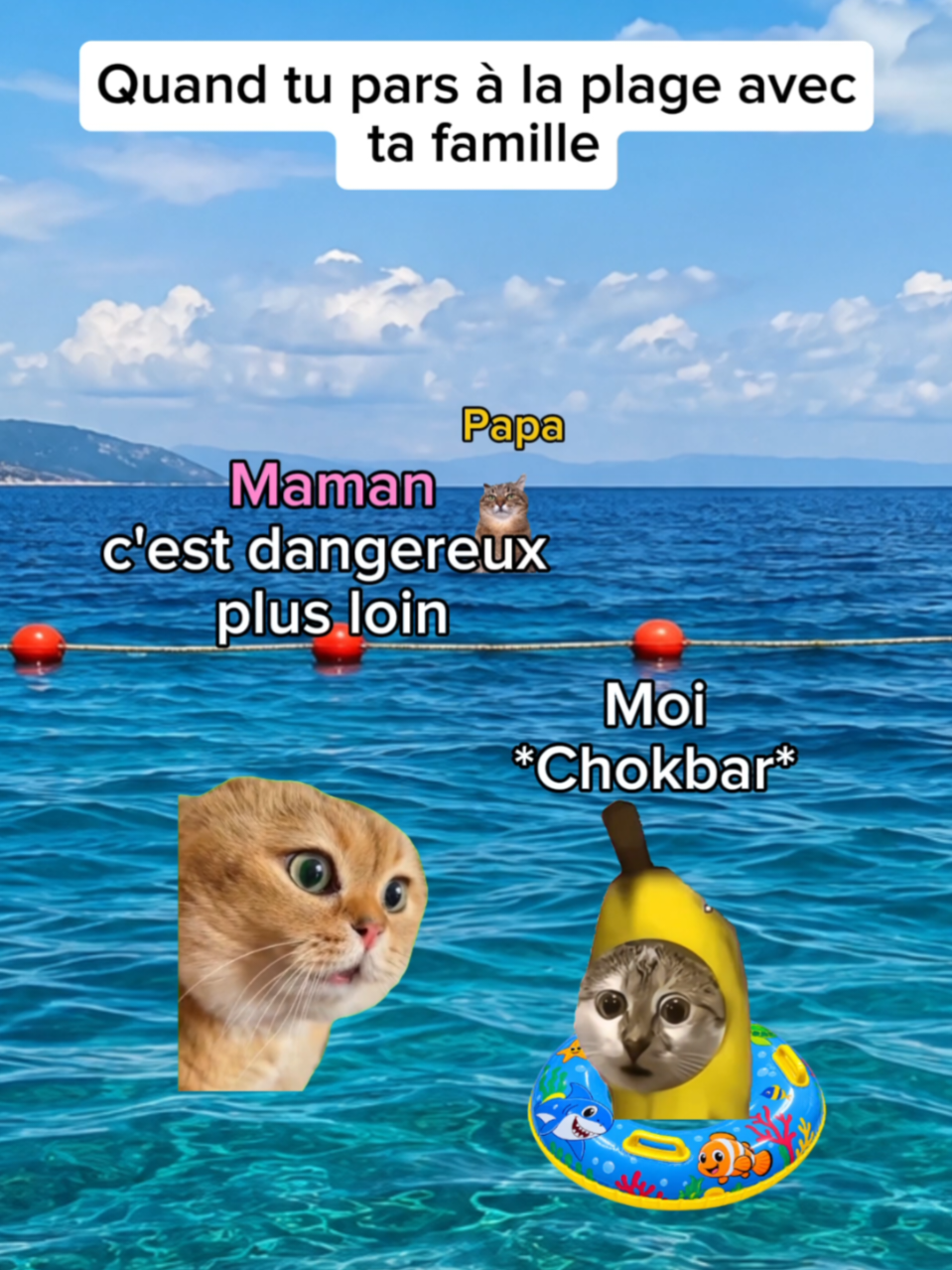 @shorts2chat 😽