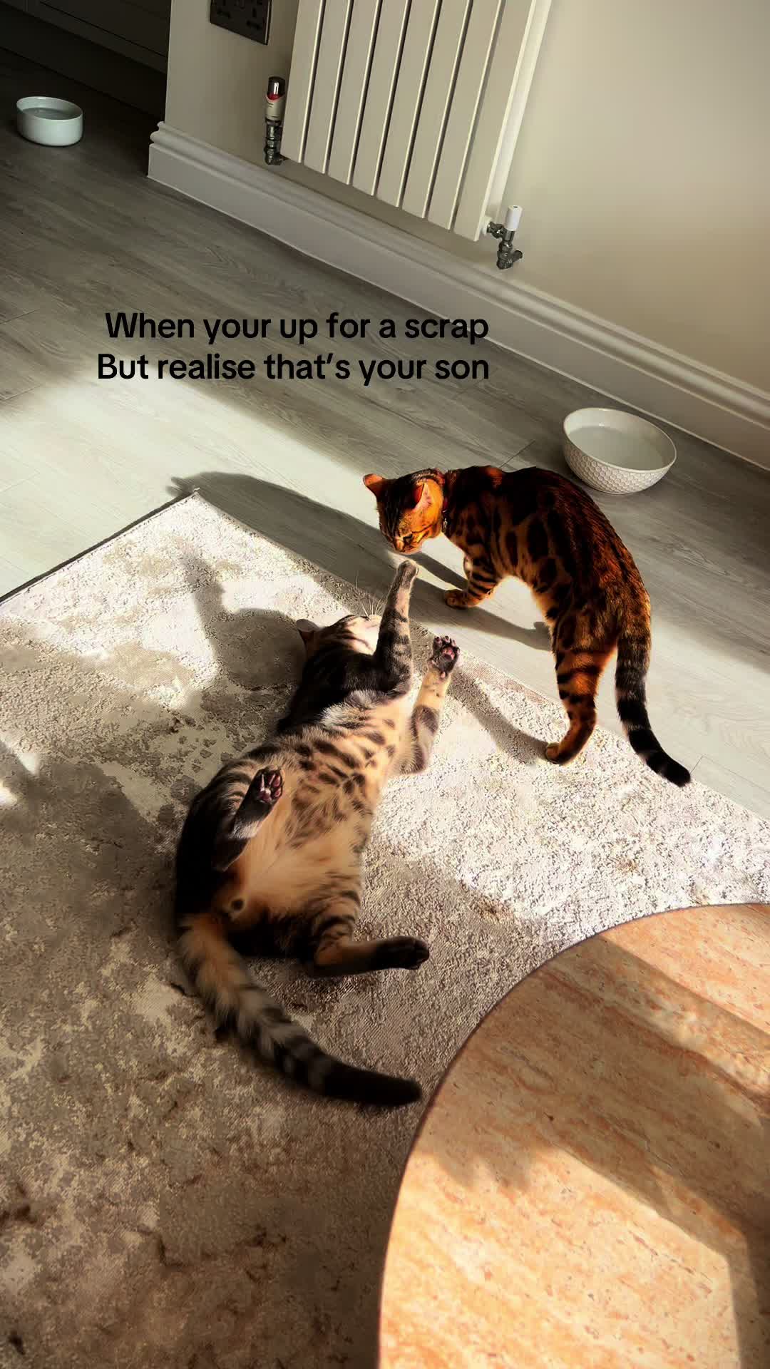 @houseofbengal
