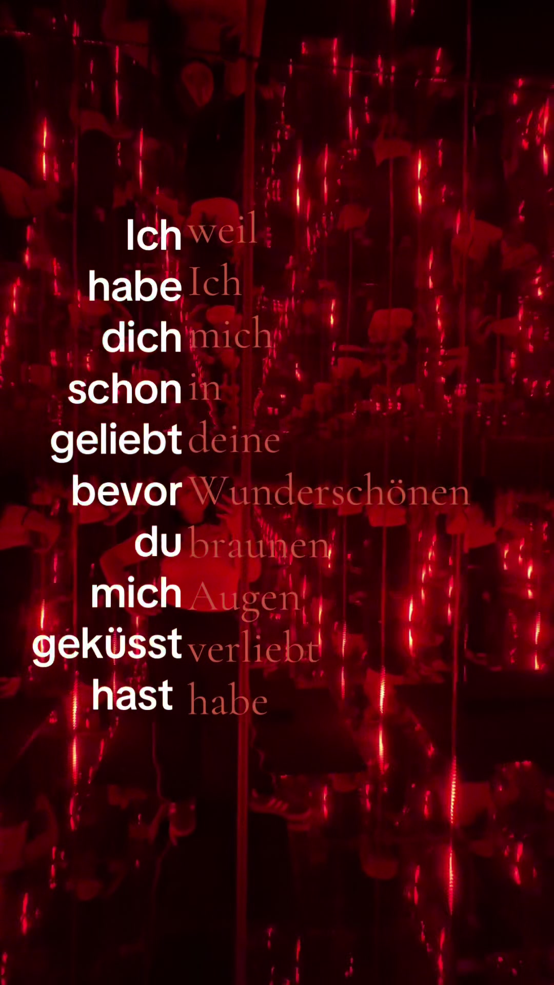 @Sinchen 🐢