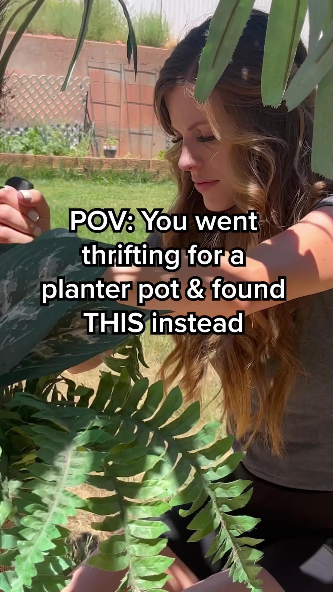@nikkiplantsthings