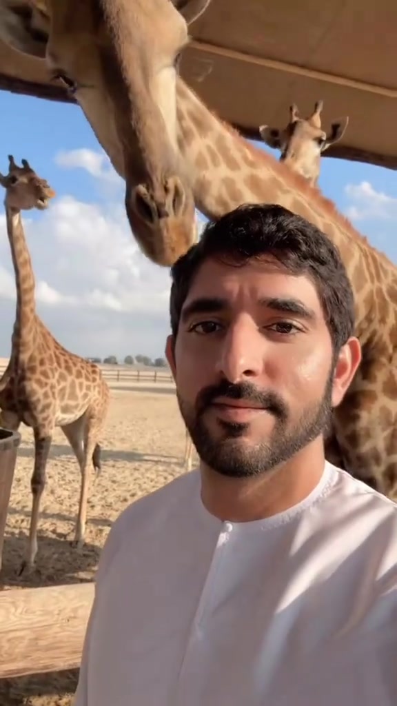 @Hamdan fazza