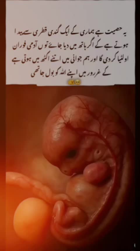 @❤️ڈاکٹر اریج زھراء ❤️