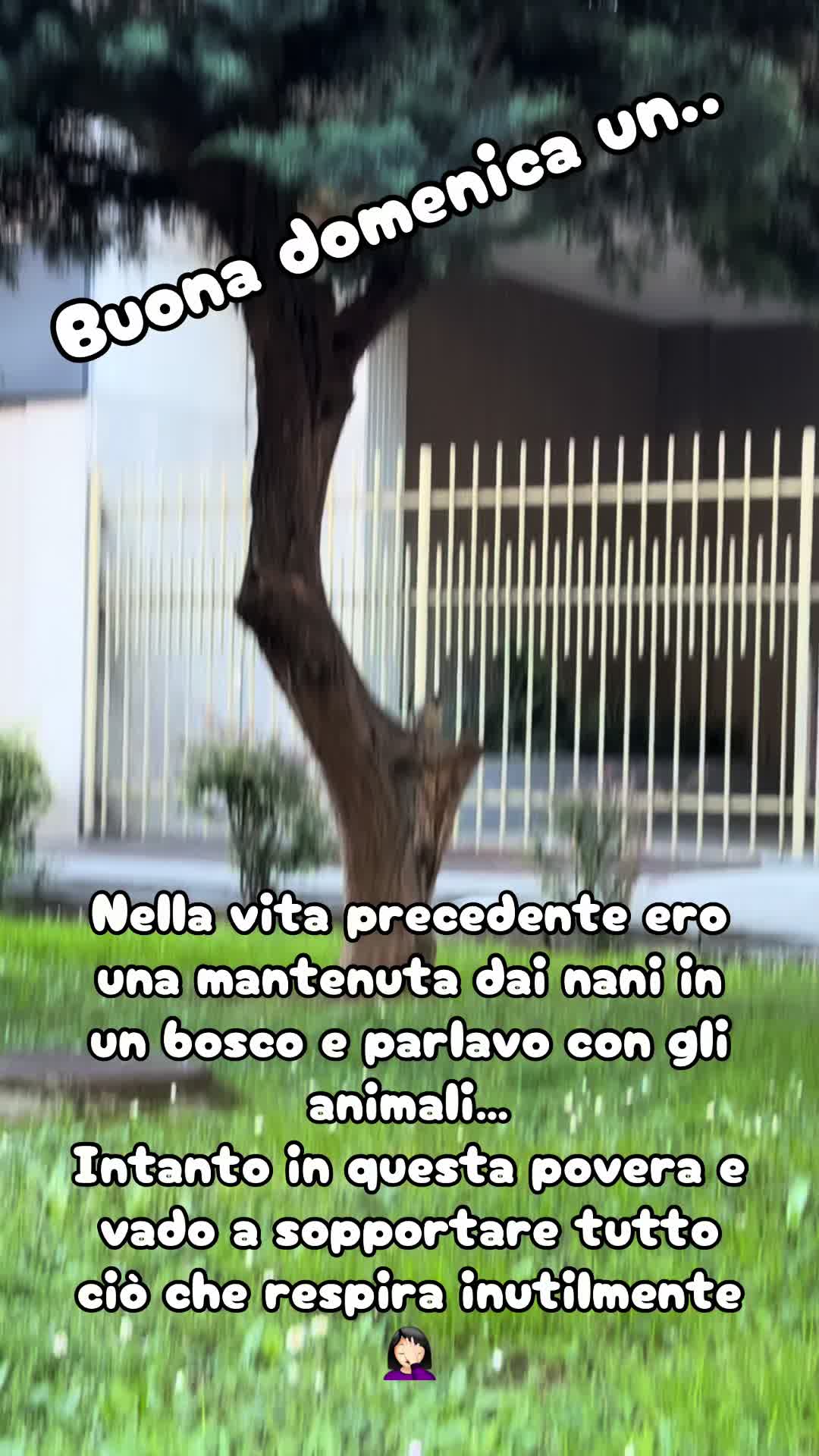 @LA Katia